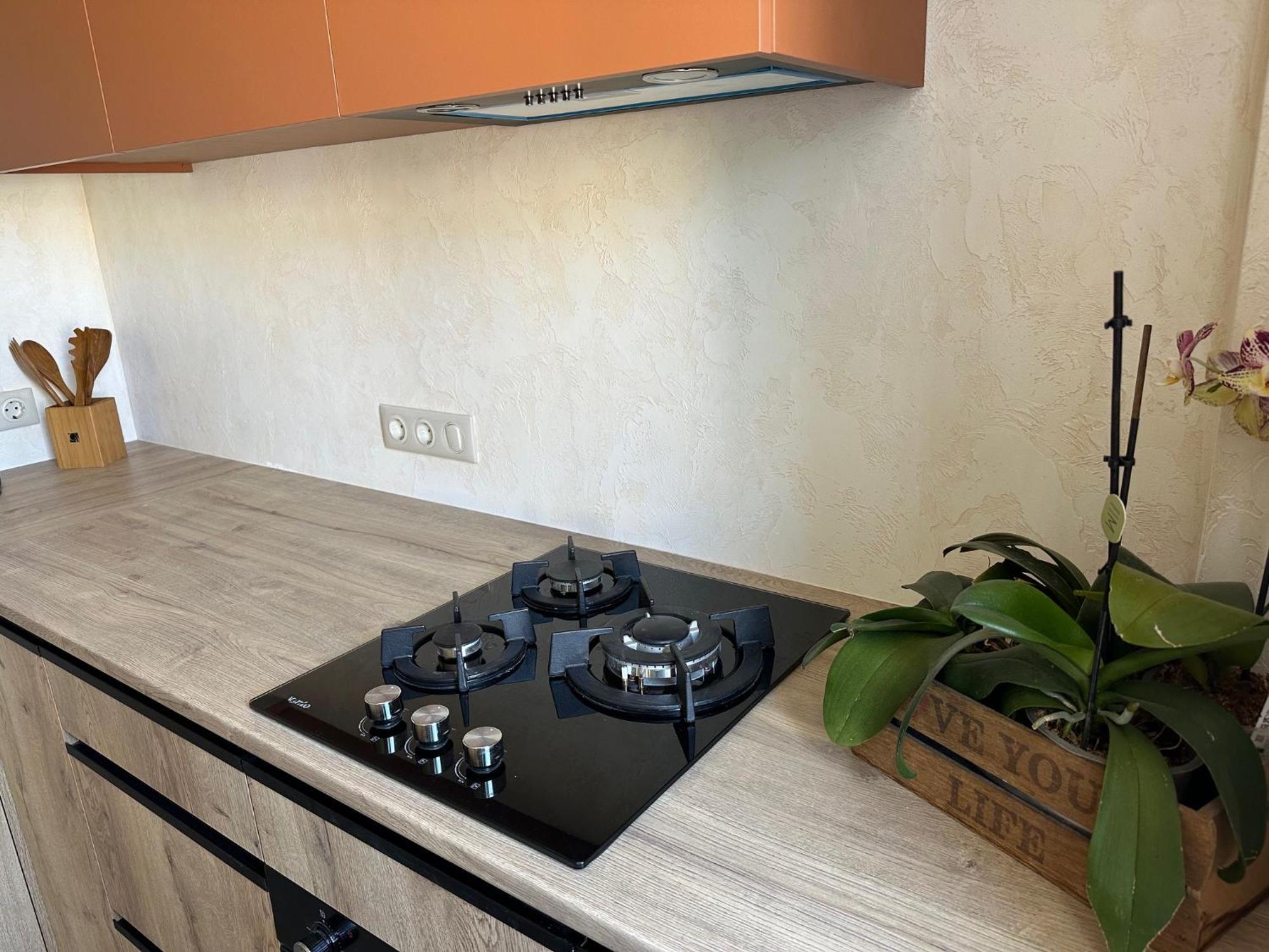 Apartmán Terracotta Kremenčuk Exteriér fotografie